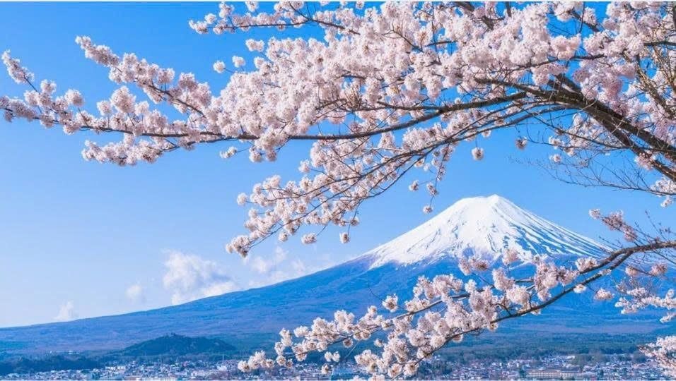 TOUR NHẬT BẢN: CUNG ĐƯỜNG LÀNG CỔ SHIRAKAWAGO