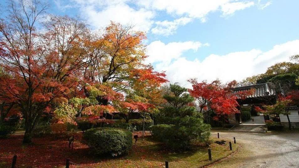 TOUR NHẬT BẢN: CUNG ĐƯỜNG LÀNG CỔ SHIRAKAWAGO