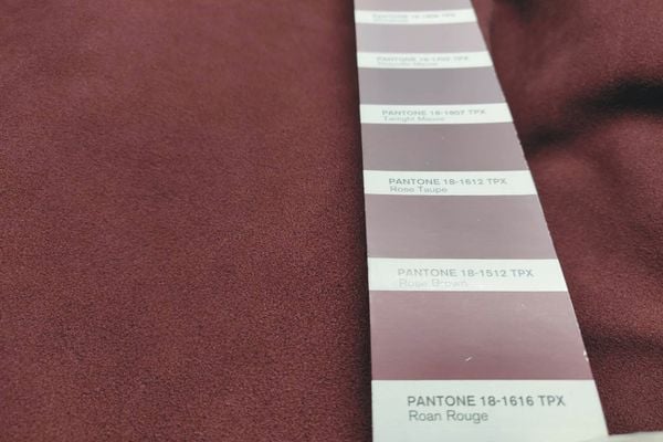 Suede Leather - Roan Rouge Color