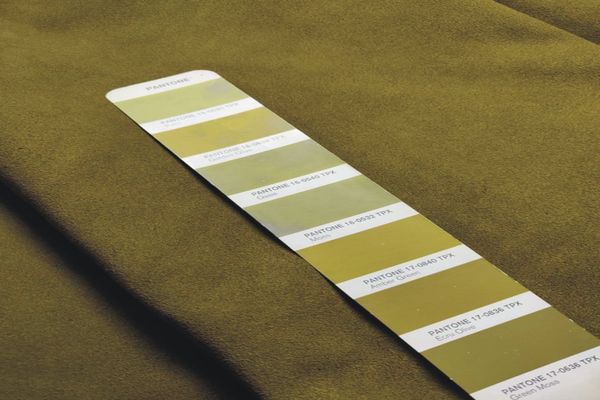 Suede Leather - Ecru Olive Color