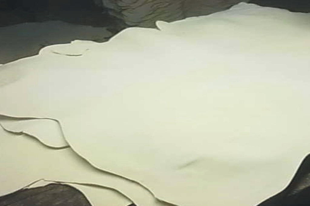 Goat Skin