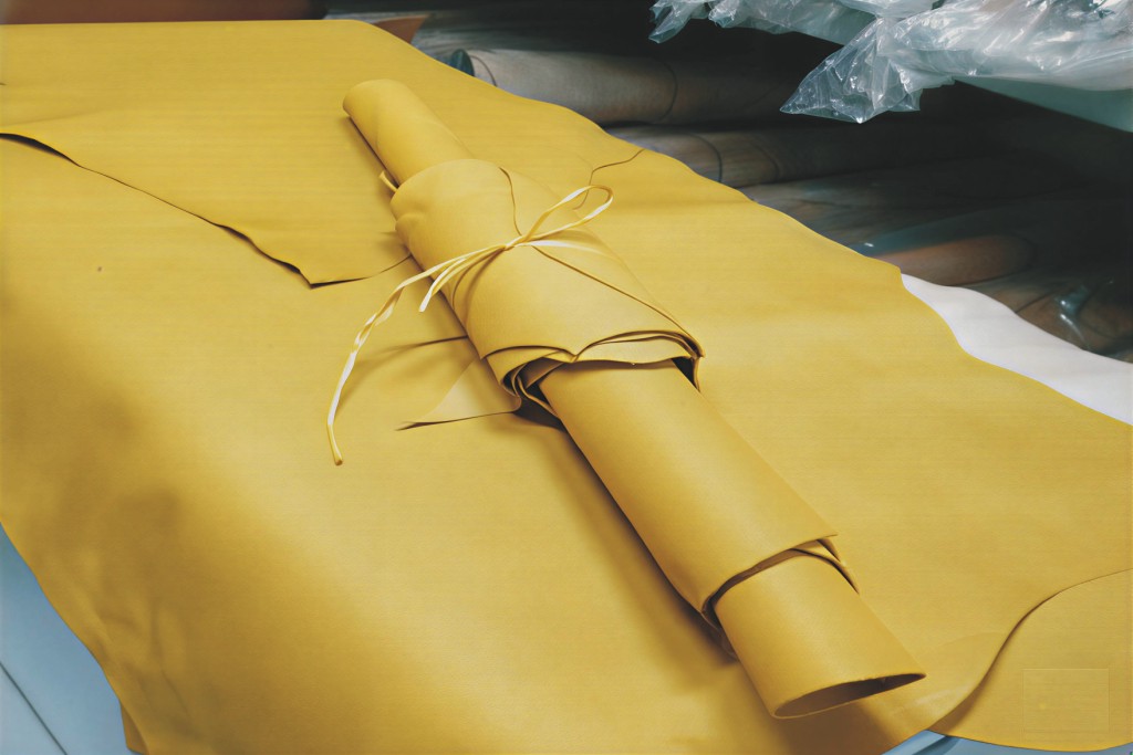 Yellow-42