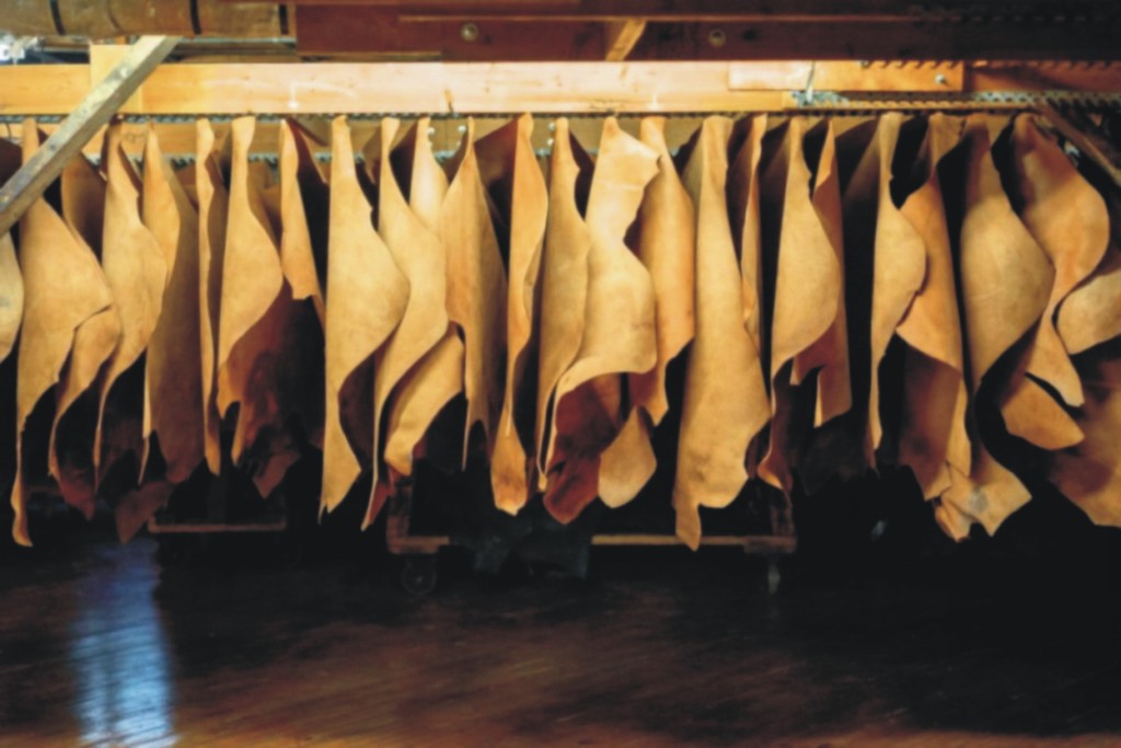 Goat Skin