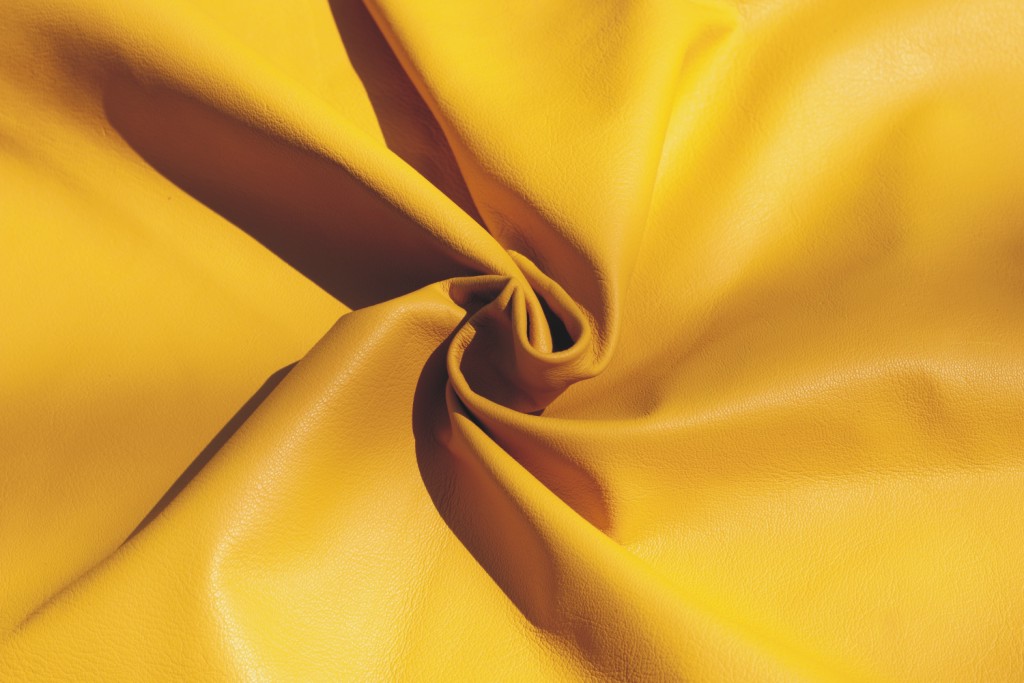 Economy