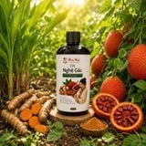  [Mua 1 Tặng 1] Cốt Nghệ Gấc Làm Sáng Da, Mờ Thâm, Thẩm Thấu Nhanh Dùng Hàng Ngày Cho Mẹ Sau Sinh 
