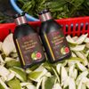  [Mua 1 Tặng 1] Dầu Gội Bưởi Giảm Gàu, Dưỡng Tóc Mềm Mượt Chiết Xuất Từ Bưởi, Vitamin B5 