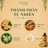  Dầu Gội Cho Mẹ Bầu & Sau Sinh Giảm Gàu & Rụng Tóc Chiết Xuất Gừng, Nghệ 