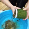  [Mua 1 Tặng 1] Thảo Dược Ngâm Chân Giảm Nhức Mỏi, Giảm Tê Chân, Khử Mùi Hôi, Ngủ Ngon 