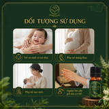  [Mua 1 Tặng 1] Tinh Dầu Tràm Cho Bé Giữ Ấm Cơ Thể, Đẩy Khí Lạnh, Làm Dịu Da 