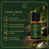  [Mua 1 Tặng 1] Tinh Dầu Tràm Cho Bé Giữ Ấm Cơ Thể, Đẩy Khí Lạnh, Làm Dịu Da 