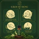  [Mua 1 Tặng 1] Tinh Dầu Tràm Cho Bé Giữ Ấm Cơ Thể, Đẩy Khí Lạnh, Làm Dịu Da 