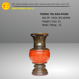  Bình Bông Lưu Ly - DAPHA 