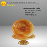 Đĩa Lưu Ly - DAPHA 