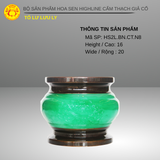  Tổ Lư Lưu Ly - DAPHA 