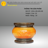  Tổ Lư Lưu Ly - DAPHA 