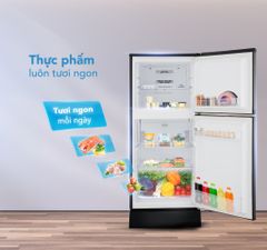 Tủ lạnh Funiki HR T6209TDG 209 lít