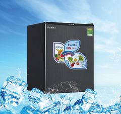 Tủ lạnh Mini 74 Lít Funiki FR-71DSU