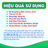  Túi Xô 20-20-20 TK Bổ Sung Rong Biển, Amino, Amin Giúp Trái Lớn Tối Đa, Bóng Đẹp, Nặng Ký, Ra Rễ, Đẻ Nhánh - Túi 2 Lít 