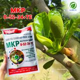  Phân Bón MKP 0-52-34+TE Tạo Mầm Hoa, Xử Lý Ra Hoa Trái Vụ, Tăng Thụ Phấn, Giúp Lá Non Mau Già, Chặn Đọt - Túi 1kg 