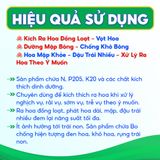  Phân Bón 10-60-10+TE Siêu Ra Hoa, Kích Ra Hoa Đồng Loạt, Vọt Hoa, Xử Lý Ra Hoa Theo Ý Muốn - Túi 1kg 