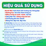  Phân bón ATONIK MAX TK Tăng Sinh Trưởng, Nhụy Trứng Cá Xanh, Trội Hột, Dưỡng Hoa, Bóng Trái, Đẹp Trái - Chai 250ml 