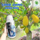  COMBI AMINO Rong Biển Global TK Tăng Sức Đề Kháng, Xanh Dày Lá, Hỗ Trợ Giải Độc Dinh Dưỡng Do Quá Liều - Chai 500ml 