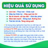  Túi Xô SIÊU LỚN TRÁI 9999 Global TK Thúc Trái Lớn Nhanh, Chắc Ruột, Nặng Ký, Ra Rễ Nhanh, Cải Tạo Đất - Túi 2 lít 