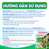  Túi Xô 20-20-20 TK Bổ Sung Rong Biển, Amino, Amin Giúp Trái Lớn Tối Đa, Bóng Đẹp, Nặng Ký, Ra Rễ, Đẻ Nhánh - Túi 2 Lít 