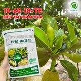  Phân Bón 10-60-10+TE Siêu Ra Hoa, Kích Ra Hoa Đồng Loạt, Vọt Hoa, Xử Lý Ra Hoa Theo Ý Muốn - Túi 1kg 