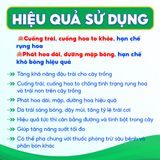  Phân bón BO GOLD ĐẬM ĐẶC Global TK Dưỡng Mập Bông, Cuống Trái, Bông Khỏe, Hạn Chế Rụng Hoa Và Trái Non - Chai 500ml 