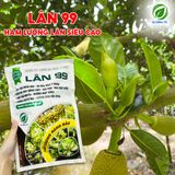  Phân Bón LÂN 99 Global TK Siêu Tạo Mầm Hoa, Ra Hoa Theo Ý Muốn, Kích Ra Hoa Đồng Loạt, Vọt Hoa, Dưỡng Mập Bông - Túi 1kg 