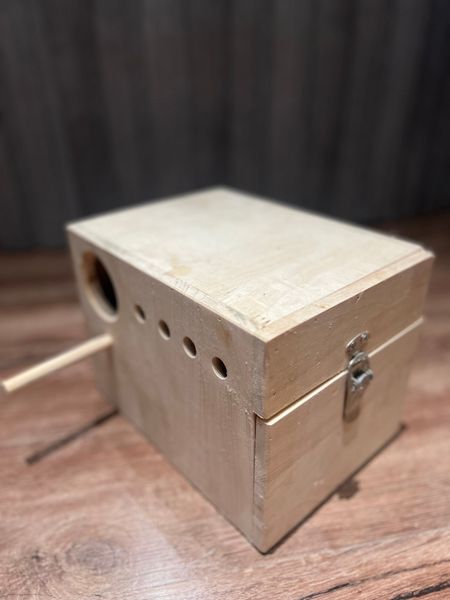 Tổ Lovebird Không Khay