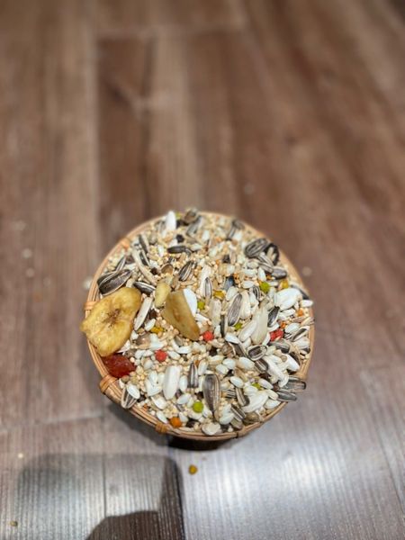 Mix Hat Vẹt Trung Madagascar