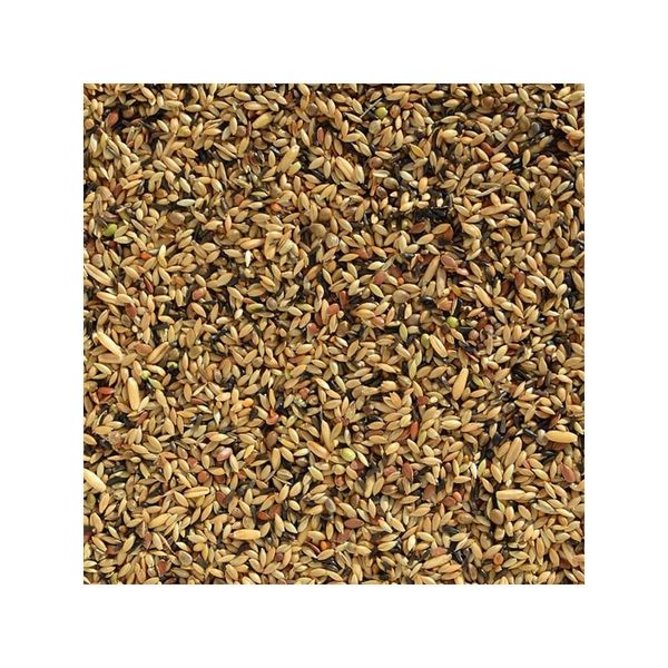 Hạt Trộn Yến Deli 53