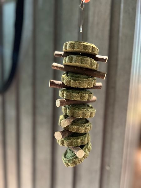 Mài răng cho thỏ, Hamster , chuột lang, bọ ú