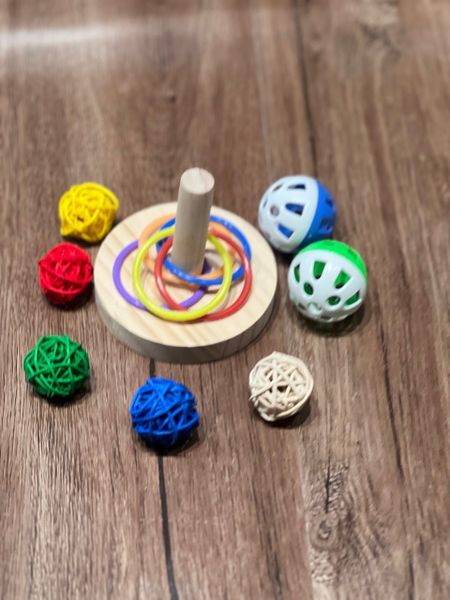 Bộ Đồ Chơi Thả Vòng- Bóng