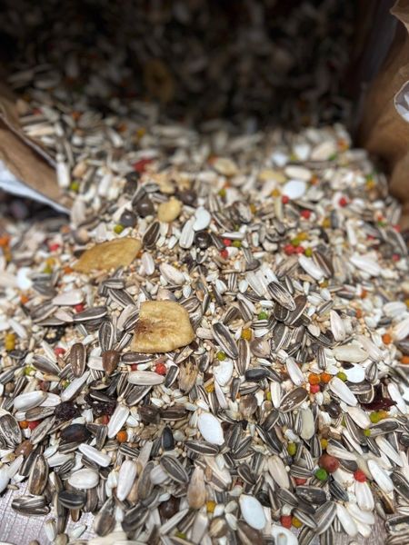 Mix Hat Vẹt Trung Madagascar