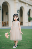  Tamiuy Đầm Dạ Hội Cao Cấp Màu Đỏ  Thân Đầm Trên Đính Cườm Và Hoa Ở Ngực Áo Size 8-12 