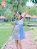  Đầm Bé Gái Tamiuy Phối Màu Đính Hình Thú Dễ Thương Cho Bé 1-10 Tuổi 
