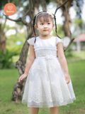 Tamiuy Đầm Dạ Hội Tamiuy Đăng Chân Cao Cấp Màu Đỏ  Công Chúa Sang Trọng Cân Nặng 10-40kg 