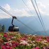 Ha Noi - Sapa 3 Days 2 Nights - M Gallery Sapa (SPH3A)