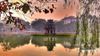 6-Day Northern Vietnam Tour: Sapa, Hanoi, Ha Long & Ninh Binh Exploration - M Gallery Sapa (SPH6A)