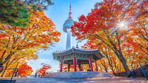 Hà Nội - Hàn Quốc: Busan – Jinhae - Du Thuyền 5*-  Tàu ven biển – Seoul – Sauna – Nami – Công viên Yeouido 6N5Đ