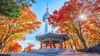 Hà Nội - Hàn Quốc: Busan – Jinhae - Du Thuyền 5*-  Tàu ven biển – Seoul – Sauna – Nami – Công viên Yeouido 6N5Đ