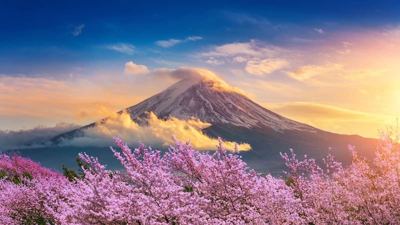 Hà Nội - Nhật Bản: Tokyo - Phú Sĩ - Kyoto - Osaka 6N5Đ