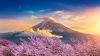 Hà Nội - Nhật Bản: Tokyo - Phú Sĩ - Kyoto - Osaka 6N5Đ