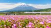 Hà Nội - Nhật Bản: Tokyo - Phú Sĩ - Kyoto - Osaka 6N5Đ