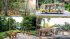 Phu Quoc Island Tour Package – 4 Days 3 Nights (PQC4A)