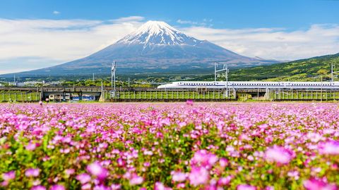 Hà Nội - Nhật Bản: Tokyo - Núi Phú Sĩ - Kyoto - Osaka 6N5Đ VNA