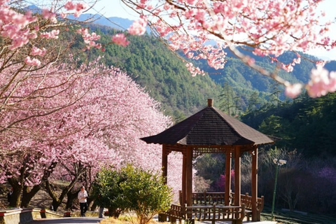 Hà Nội - Đài Loan: Đài Bắc - Đài Trung - Cao Hùng